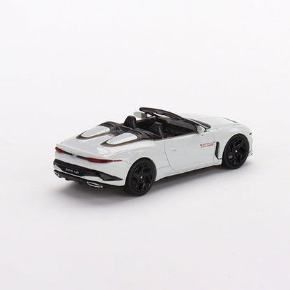 Bentley Mulliner Bacalar Car Zero
